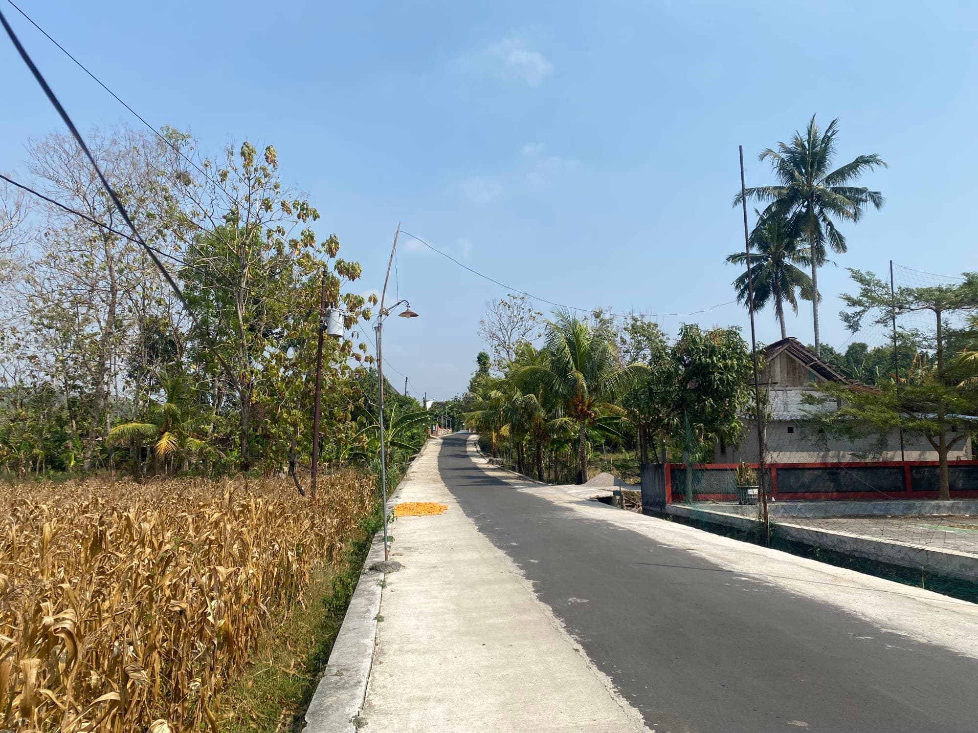 Jalan desa beraspal dengan lampu penerangan jalan