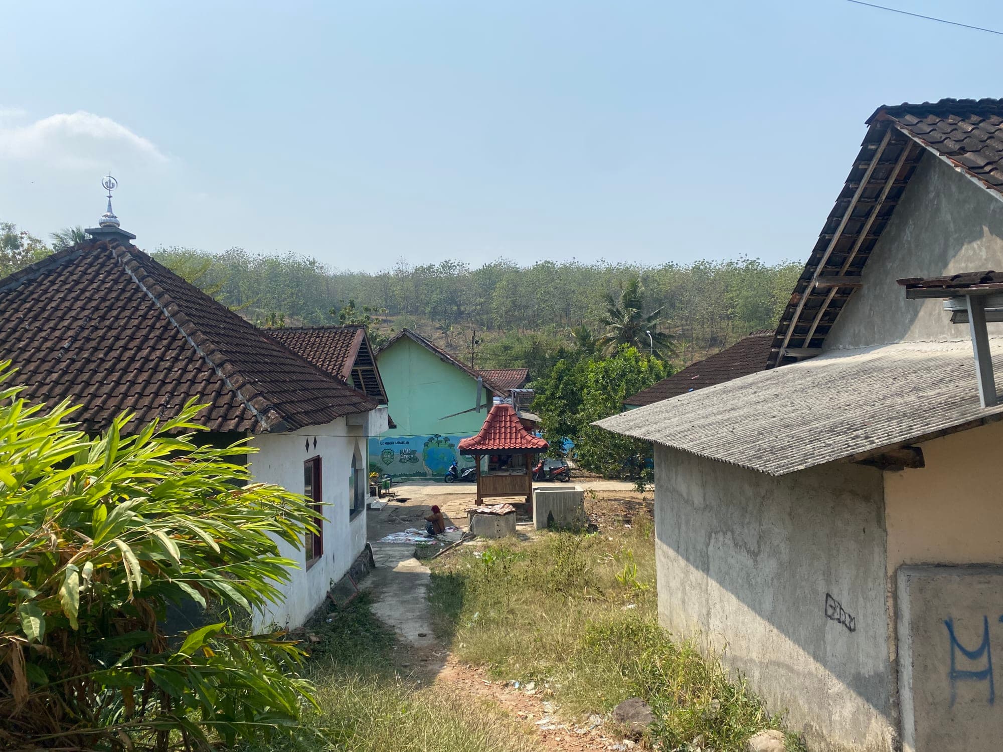 Rumah-rumah warga di antara kebun dan hutan desa